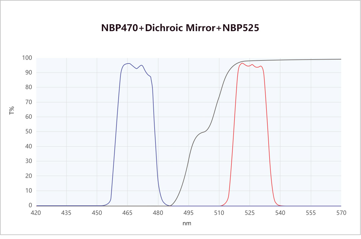 Real-time quantitative fluorescence PCR