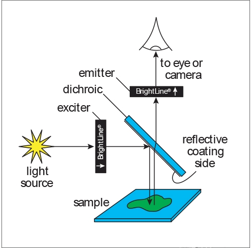 Microscope Optics Analysis